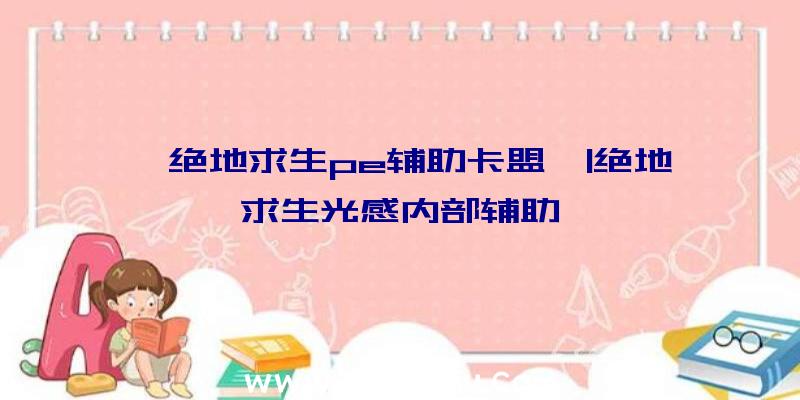 「绝地求生pe辅助卡盟」|绝地求生光感内部辅助